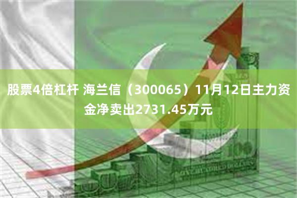 股票4倍杠杆 海兰信（300065）11月12日主力资金净卖出2731.45万元