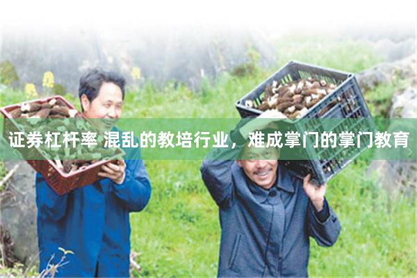证券杠杆率 混乱的教培行业，难成掌门的掌门教育