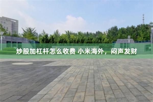 炒股加杠杆怎么收费 小米海外，闷声发财