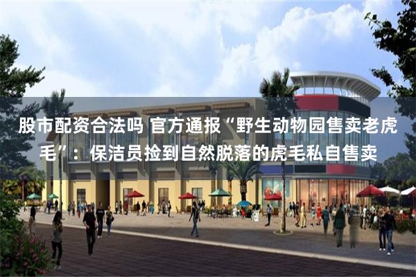 股市配资合法吗 官方通报“野生动物园售卖老虎毛”：保洁员捡到自然脱落的虎毛私自售卖