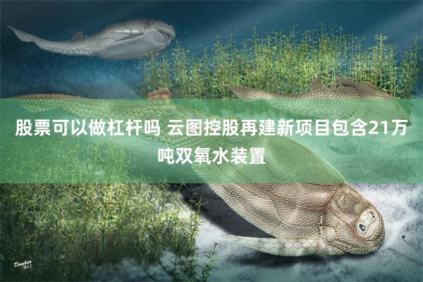股票可以做杠杆吗 云图控股再建新项目包含21万吨双氧水装置
