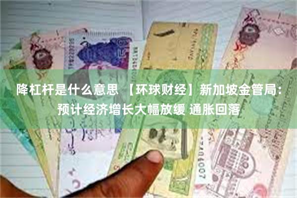 降杠杆是什么意思 【环球财经】新加坡金管局：预计经济增长大幅放缓 通胀回落