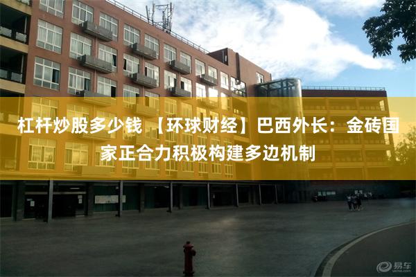 杠杆炒股多少钱 【环球财经】巴西外长：金砖国家正合力积极构建多边机制