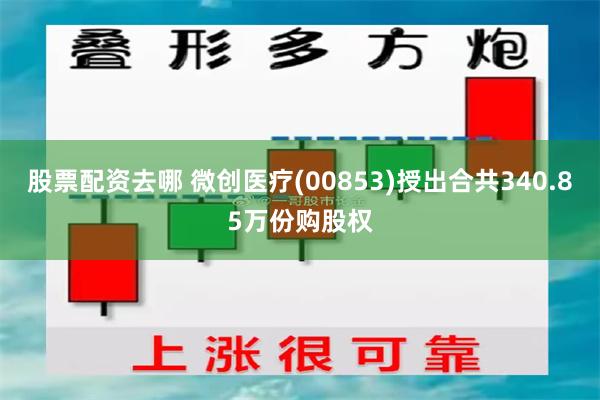 股票配资去哪 微创医疗(00853)授出合共340.85万份购股权
