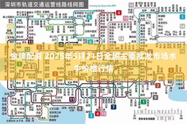 金牌配资 2025年5月21日全国主要批发市场水牛价格行情