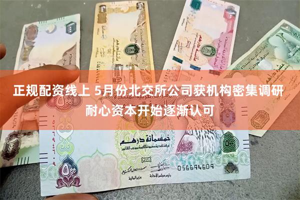 正规配资线上 5月份北交所公司获机构密集调研 耐心资本开始逐渐认可