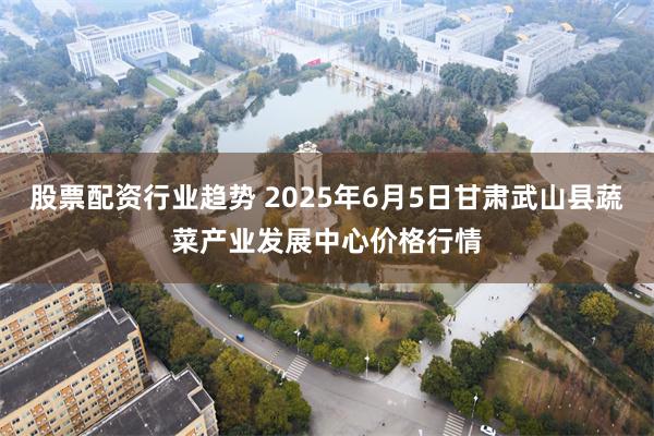 股票配资行业趋势 2025年6月5日甘肃武山县蔬菜产业发展中心价格行情