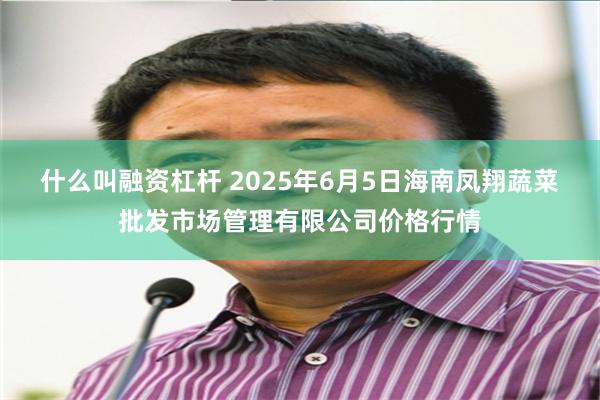 什么叫融资杠杆 2025年6月5日海南凤翔蔬菜批发市场管理有限公司价格行情