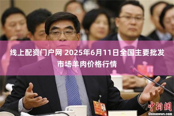 线上配资门户网 2025年6月11日全国主要批发市场羊肉价格行情