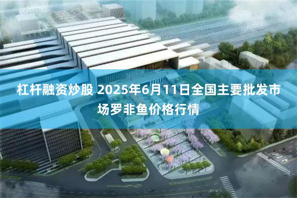杠杆融资炒股 2025年6月11日全国主要批发市场罗非鱼价格行情