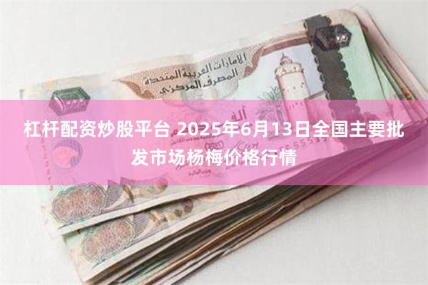 杠杆配资炒股平台 2025年6月13日全国主要批发市场杨梅价格行情